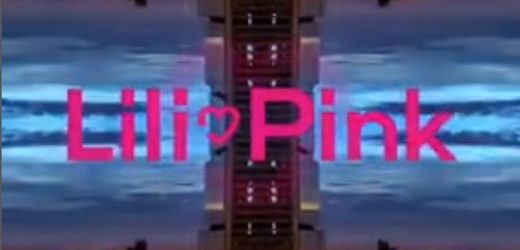 Fast Moda (compañía que opera la cadena de ropa interior Lili Pink y la de misceláneos Yoi) venderá en sus tiendas artículos sexuales