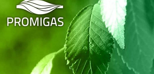 Fitch afirmó calificaciones de IDR de Largo Plazo y de bonos de Promigas en ‘BBB-‘ con perspectiva estable
