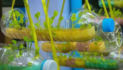Scotiabank premió a laboratorio de alimentos de la Ean y a proyecto de aguacate sostenible de Colombia