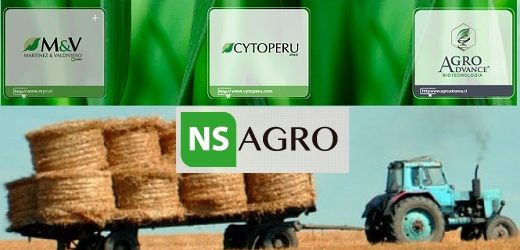 Lavoro (de Patria), que compró Provecampo en Colombia, adquirirá NS Agro, holding con negocios en Chile y Perú
