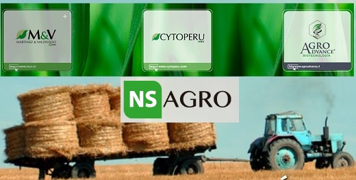 Lavoro (de Patria), que compró Provecampo en Colombia, adquirirá NS Agro, holding con negocios en Chile y Perú