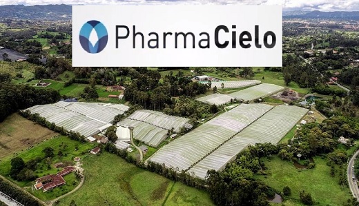 PharmaCielo Ltd