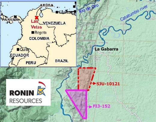 Ronin Resources