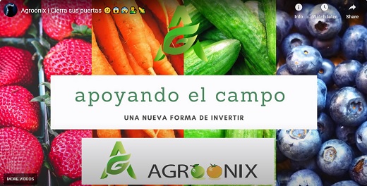 SuperFinanciera ordenó a plataforma agrícola Agroonix suspender captación no autorizada de dinero del público