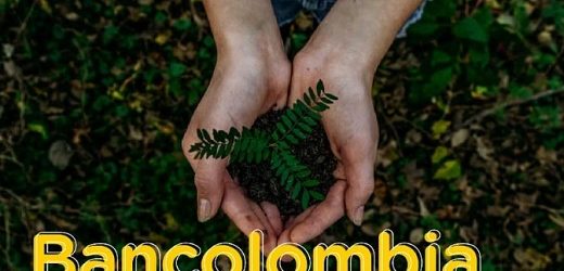 Citi otorgó a Bancolombia crédito por US$100 millones atado a indicadores de sostenibilidad