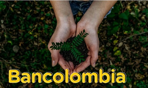 Citi otorgó a Bancolombia crédito por US$100 millones atado a indicadores de sostenibilidad