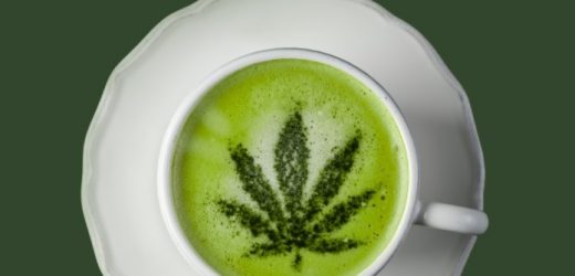 Flora Growth Corp. mantuvo meta de ventas para 2022 por más de US$35 millones, pero pierde US$40,1 millones