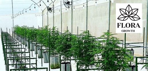 Flora Growth construyó en Bogotá laboratorio especializado en formulaciones de fitocannabinoides