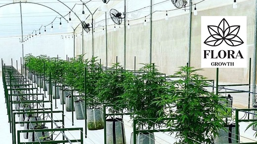 Flora Growth construyó en Bogotá laboratorio especializado en formulaciones de fitocannabinoides