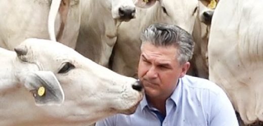 Hacienda San José, Banco Mundial e International Coach Fed adelantan modelo clúster de carne sostenible tropical en Vichada