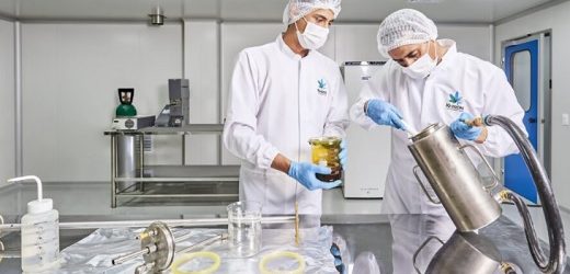 Khiron Life Sciences ingresa al mercado suizo de cannabis medicinal con dos de sus nuevos productos florales