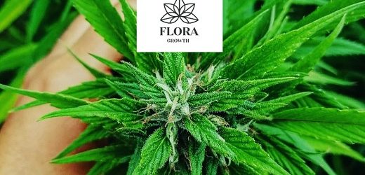 Flora Growth aspira a vender unos US$100 millones en 2023 en crecimiento año tras año que supera el 100%