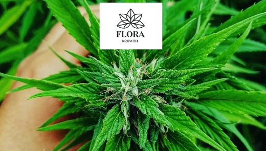 Flora Growth aspira a vender unos US$100 millones en 2023 en crecimiento año tras año que supera el 100%