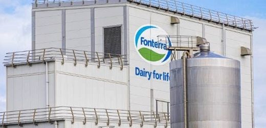 Holandesa DSM y neozelandesa Fonterra se aliaron para la comercialización de proteínas lácteas alternativas en Colombia