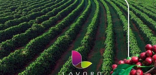 Lavoro (de Patria), dueña de Provecampo en Colombia y que prepara salida a Nasdaq, adquirió Cromo Química en Brasil