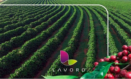 Lavoro (de Patria), dueña de Provecampo en Colombia y que prepara salida a Nasdaq, adquirió Cromo Química en Brasil
