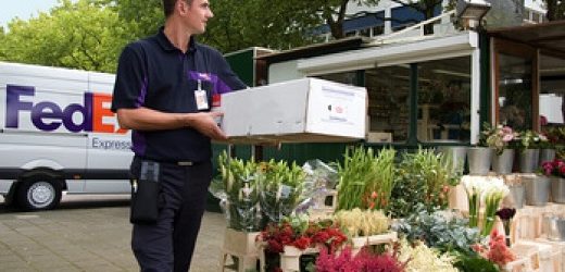 Fedex Express transportará 1.000 toneladas de flores desde Colombia (que valen en el mercado US$7,6 millones) para Día de San Valentín