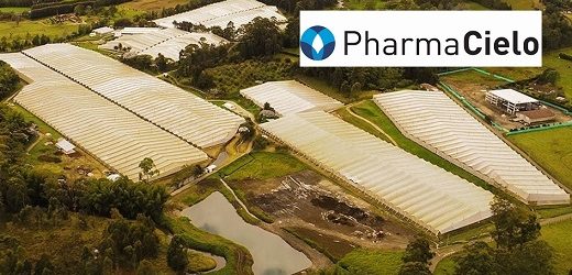 Desde septiembre de 2023, la cannabiera PharmaCielo no paga crédito por $8.500 millones al Banco Agrario