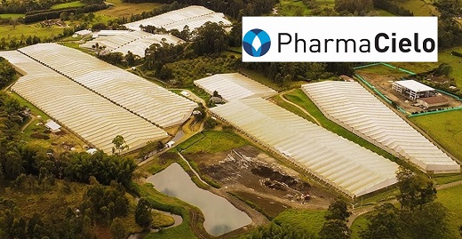 Desde septiembre de 2023, la cannabiera PharmaCielo no paga crédito por $8.500 millones al Banco Agrario