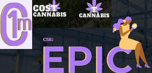 Otra cannabiera que se fue de Colombia: 1CM Inc. (antes Leviathan) decidió vender por US$765 mil su cultivo de cannabis en Antioquia