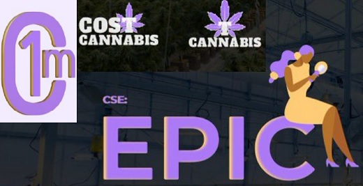 Otra cannabiera que se fue de Colombia: 1CM Inc. (antes Leviathan) decidió vender por US$765 mil su cultivo de cannabis en Antioquia