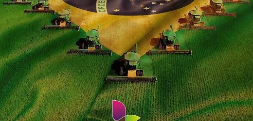 Lavoro (de Patria), dueña de Provecampo en Colombia, comienza a cotizar en el mercado de valores Nasdaq