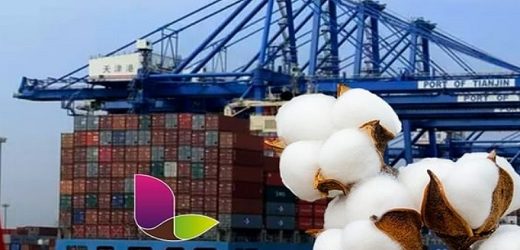 Lavoro (de Patria Investments y con presencia en Colombia) adquirirá una participación mayoritaria en Referência Agroinsumos