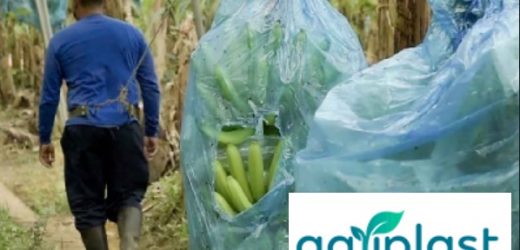 Colombiana Greenland Investments (dueña de Banacol) le vendió a C.I. Técnicas Baltime (Tecbaco) 50% de antioqueña Agriplast