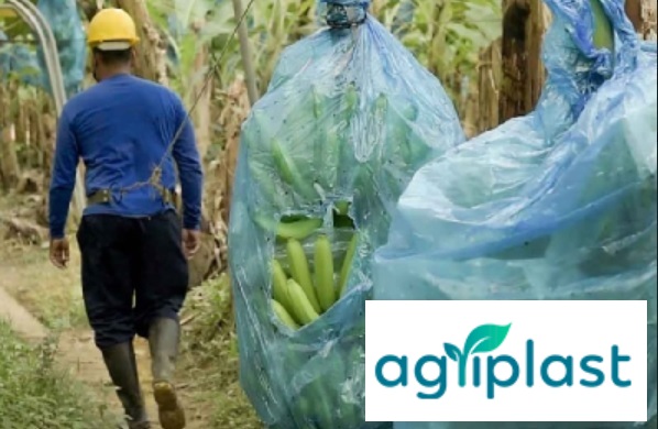 Colombiana Greenland Investments (dueña de Banacol) le vendió a C.I. Técnicas Baltime (Tecbaco) 50% de antioqueña Agriplast
