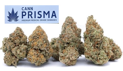 PharmaCielo también le apuesta al cannabis premium: se alía con portuguesa Cannprisma para enviarle flores secas con THC dominante