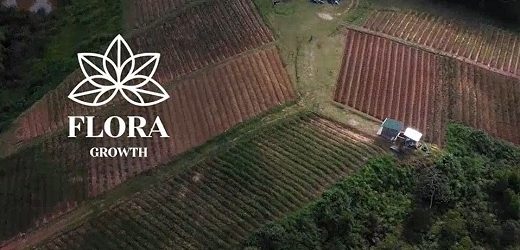 Flora Growth Corp. arrojó pérdidas por US$52,6 millones en 2022 (acumula US$90 millones en déficit) y generó US$37,2 millones en ingresos