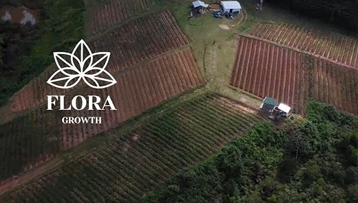 Flora Growth Corp. arrojó pérdidas por US$52,6 millones en 2022 (acumula US$90 millones en déficit) y generó US$37,2 millones en ingresos