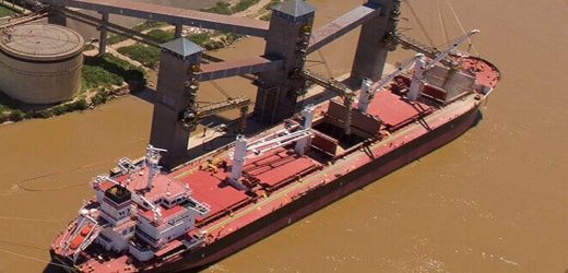 Argentina Molinos Agro (Grupo Pérez Companc) va tras US$250 millones de BID Invest para financiar exportaciones a granel de soya, maíz y trigo
