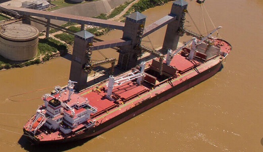 Argentina Molinos Agro (Grupo Pérez Companc) va tras US$250 millones de BID Invest para financiar exportaciones a granel de soya, maíz y trigo
