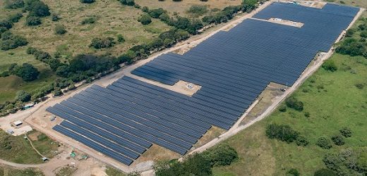Parque Celsia Solar Lanceros, en Melgar, se integra a siete nuevas granjas que aportan energía renovable a Colombia