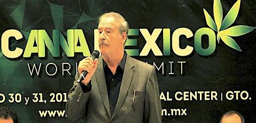 López Obrador revocará licencias de cannabis, entre ellas la de Kuida Life, filial de la colombiana Khiron en México