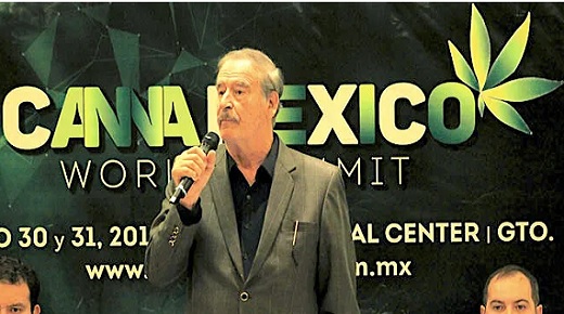 López Obrador revocará licencias de cannabis, entre ellas la de Kuida Life, filial de la colombiana Khiron en México