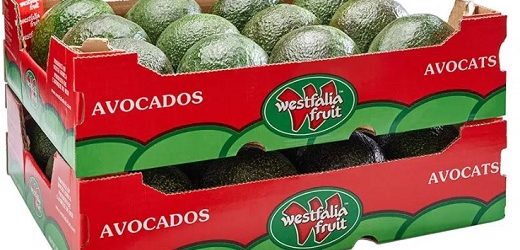 Hsbc UK, la IFC y Standard Bank prestaron US$300 millones a Westfalia para expandir, entre otros, negocio de aguacates en Colombia
