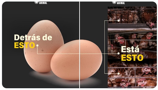supermercado Jumbo