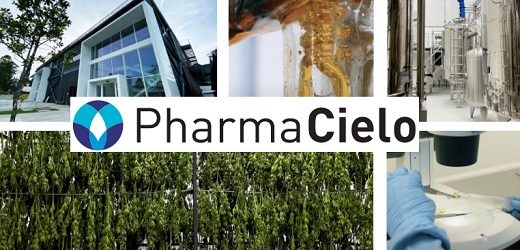 PharmaCielo perdió US$10,71 millones en 2022 y apenas generó US$3,84 millones por cannabis