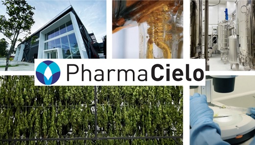 PharmaCielo perdió US$10,71 millones en 2022 y apenas generó US$3,84 millones por cannabis