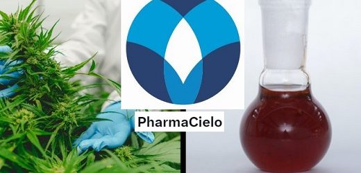 PharmaCielo perdió otros US$2.6 millones en primer trimestre y apenas vendió US$578 mil; acumula déficit por US$136.6 millones