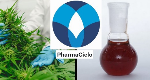 PharmaCielo perdió otros US$2.6 millones en primer trimestre y apenas vendió US$578 mil; acumula déficit por US$136.6 millones
