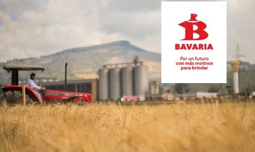 Bavaria busca 300 agricultores de cebada de Boyacá y Cundinamarca para incluir en su proceso cervecero