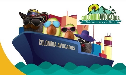 Consejo del Aguacate