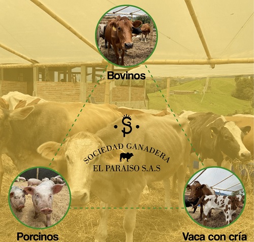 El Paraíso S.A.S.