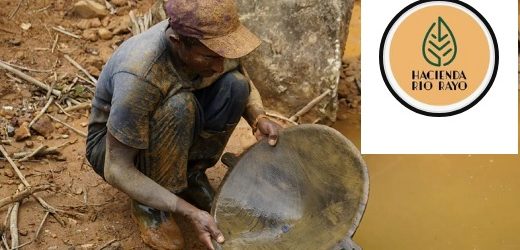 Minera liderada por colombiano (Great Eagle Gold y Hacienda Río Rayo) entra a cotizar en la bolsa canadiense y adquiere opción sobre proyecto de oro en Tarazá, Antioquia