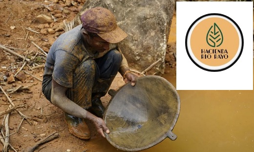 Minera liderada por colombiano (Great Eagle Gold y Hacienda Río Rayo) entra a cotizar en la bolsa canadiense y adquiere opción sobre proyecto de oro en Tarazá, Antioquia