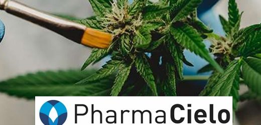 PharmaCielo redujo a una tercera parte su nómina, apenas vendió US$700 mil en cannabis el primer semestre y perdió otros US$5.5 millones