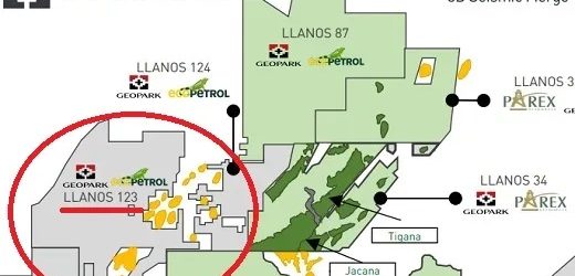 GeoPark y Hocol (filial de Ecopetrol) descubren hidrocarburos en el pozo Toritos 1 en la Cuenca de los Llanos